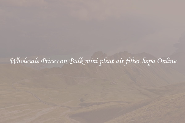 Wholesale Prices on Bulk mini pleat air filter hepa Online