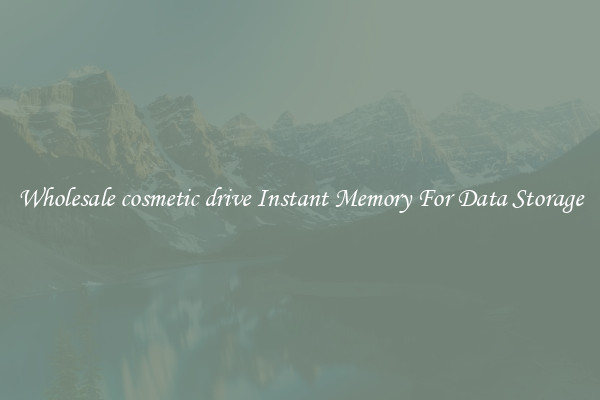 Wholesale cosmetic drive Instant Memory For Data Storage