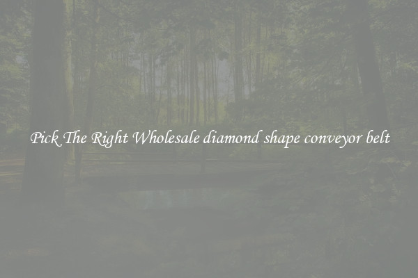 Pick The Right Wholesale diamond shape conveyor belt