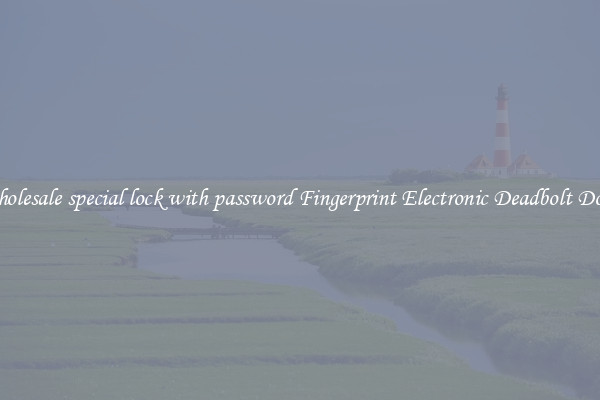 Wholesale special lock with password Fingerprint Electronic Deadbolt Door 