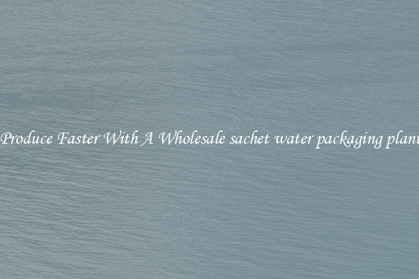 Produce Faster With A Wholesale sachet water packaging plant