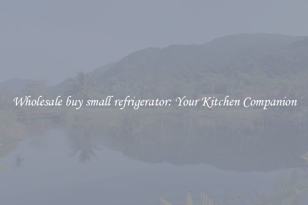 Wholesale buy small refrigerator: Your Kitchen Companion