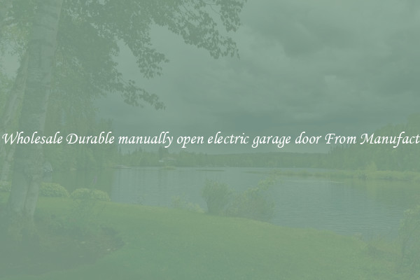 Buy Wholesale Durable manually open electric garage door From Manufacturers