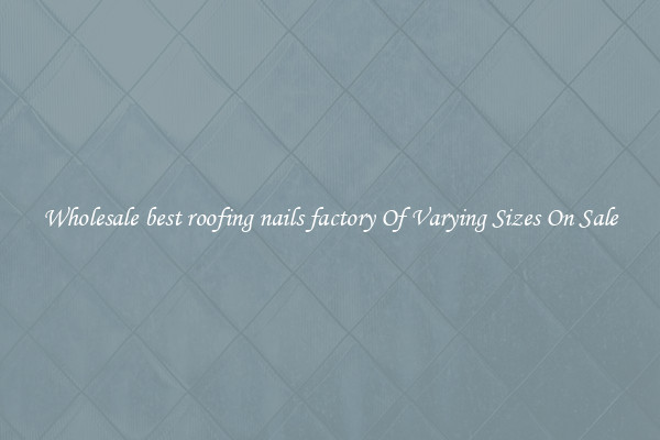 Wholesale best roofing nails factory Of Varying Sizes On Sale