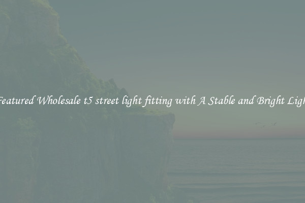 Featured Wholesale t5 street light fitting with A Stable and Bright Light