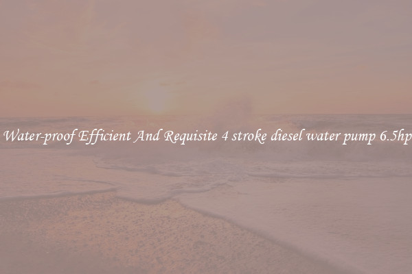 Water-proof Efficient And Requisite 4 stroke diesel water pump 6.5hp