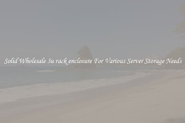Solid Wholesale 3u rack enclosure For Various Server Storage Needs