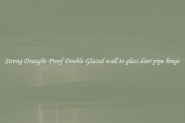 Strong Draught-Proof Double-Glazed wall to glass door pipe hinge 