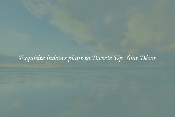 Exquisite indoors plant to Dazzle Up Your Décor 