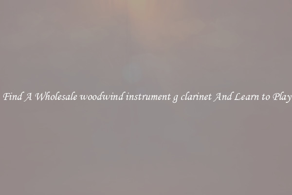 Find A Wholesale woodwind instrument g clarinet And Learn to Play