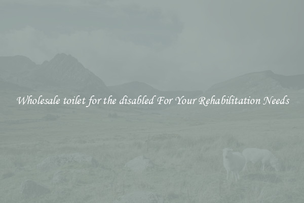 Wholesale toilet for the disabled For Your Rehabilitation Needs