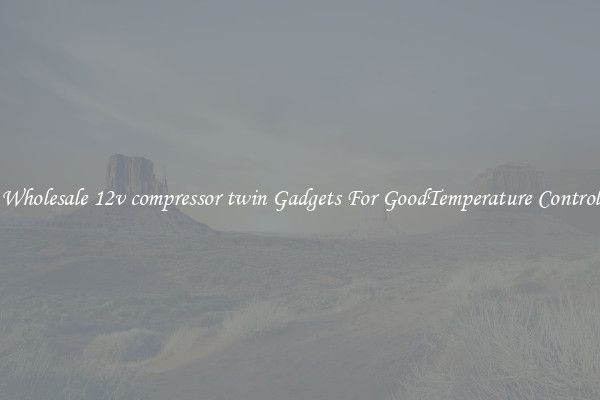 Wholesale 12v compressor twin Gadgets For GoodTemperature Control