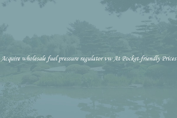 Acquire wholesale fuel pressure regulator vw At Pocket-friendly Prices