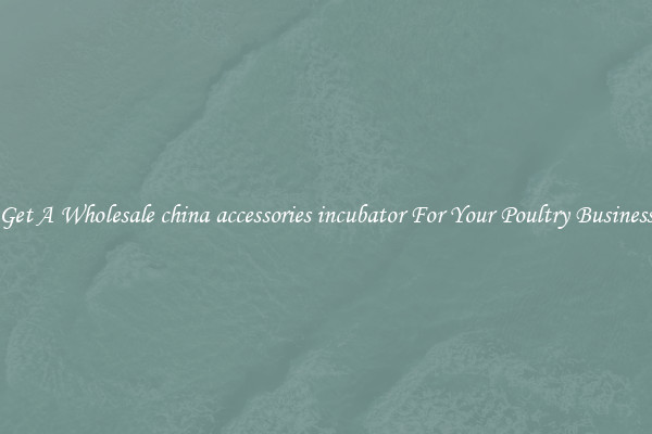 Get A Wholesale china accessories incubator For Your Poultry Business
