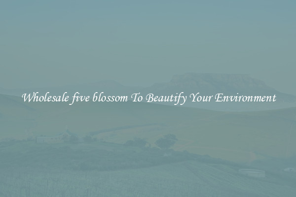 Wholesale five blossom To Beautify Your Environment