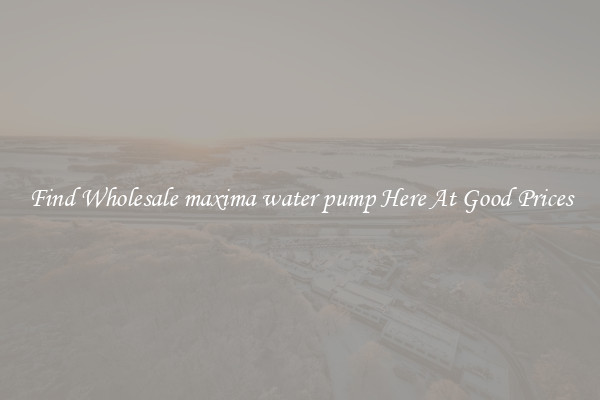 Find Wholesale maxima water pump Here At Good Prices