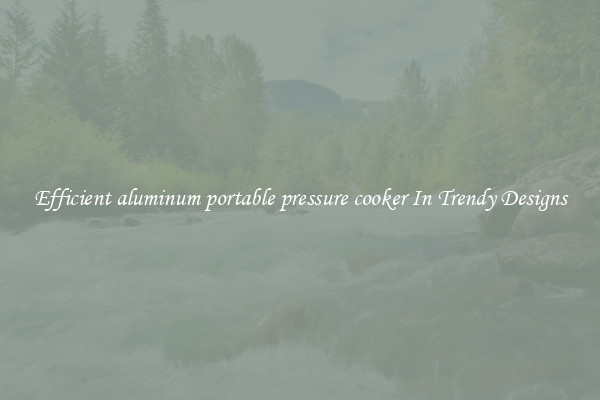 Efficient aluminum portable pressure cooker In Trendy Designs