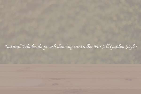 Natural Wholesale pc usb dancing controller For All Garden Styles